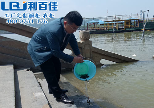 放生有感——利百佳帶您放飛夢想，領悟生活